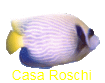 Casa Roschi