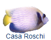 Casa Roschi