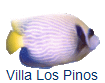 Villa Los Pinos